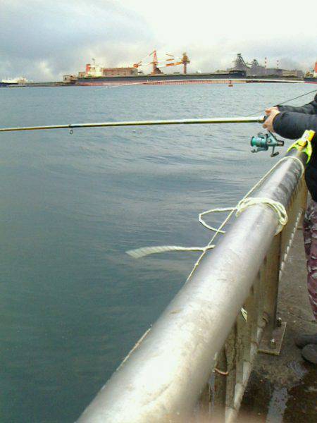 真冬にウキがスポッと沈むのをみたくて～